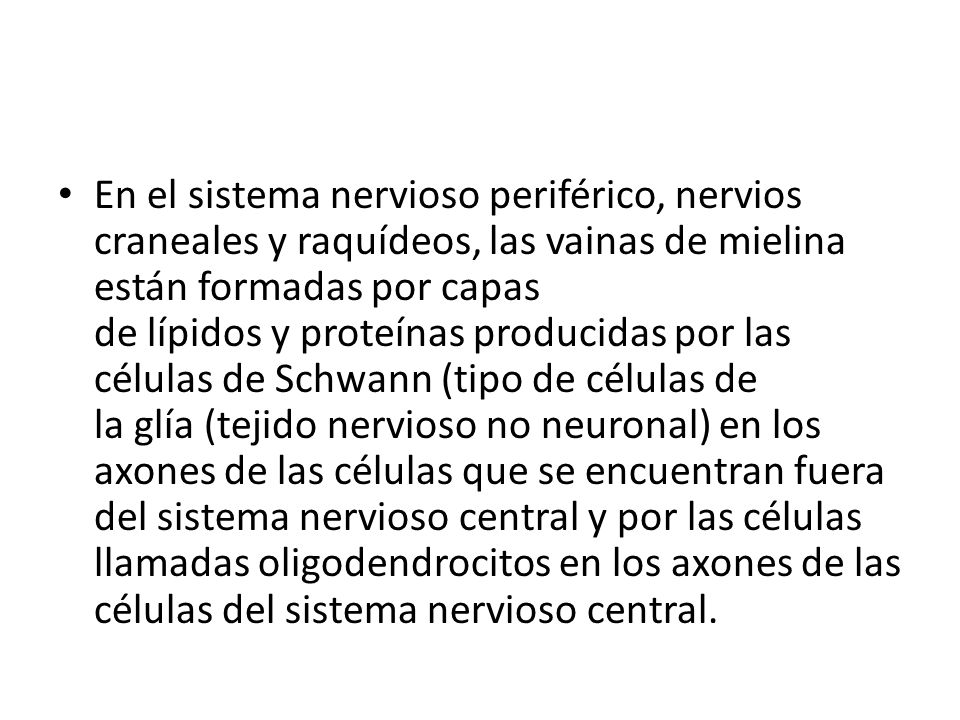 En el sistema nervioso periférico, nervios craneales y raquídeos, las vainas de mielina están formadas por capas de lípidos y proteínas producidas por las células de Schwann (tipo de células de la glía (tejido nervioso no neuronal) en los axones de las células que se encuentran fuera del sistema nervioso central y por las células llamadas oligodendrocitos en los axones de las células del sistema nervioso central.
