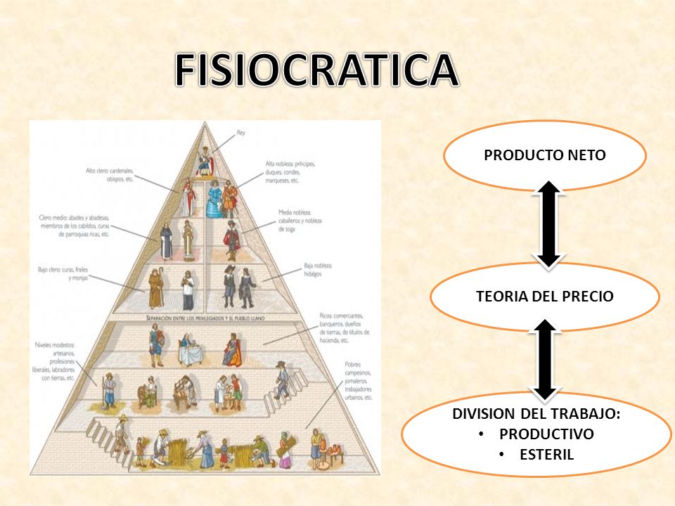 FISIOCRATICA PRODUCTO NETO TEORIA DEL PRECIO DIVISION DEL TRABAJO: