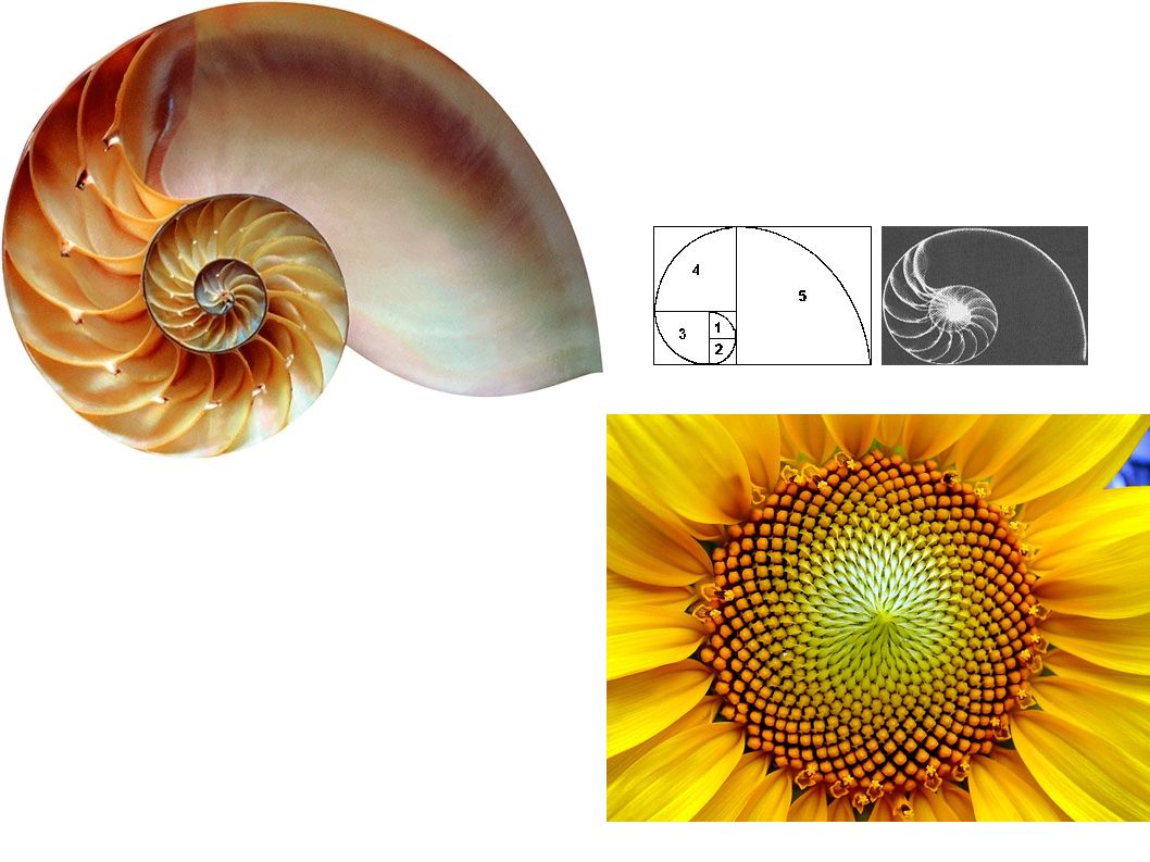El artista ha de dominar las matemáticas y la geometría, así como poseer un talento y habilidad especiales que, unido a un conocimiento del mundo le permita realizar esmeradas y fiables representaciones de la naturaleza y de los hombres. Esta autonomía progresiva del artista se irá acrecentando a medida que transcurran los siglos.