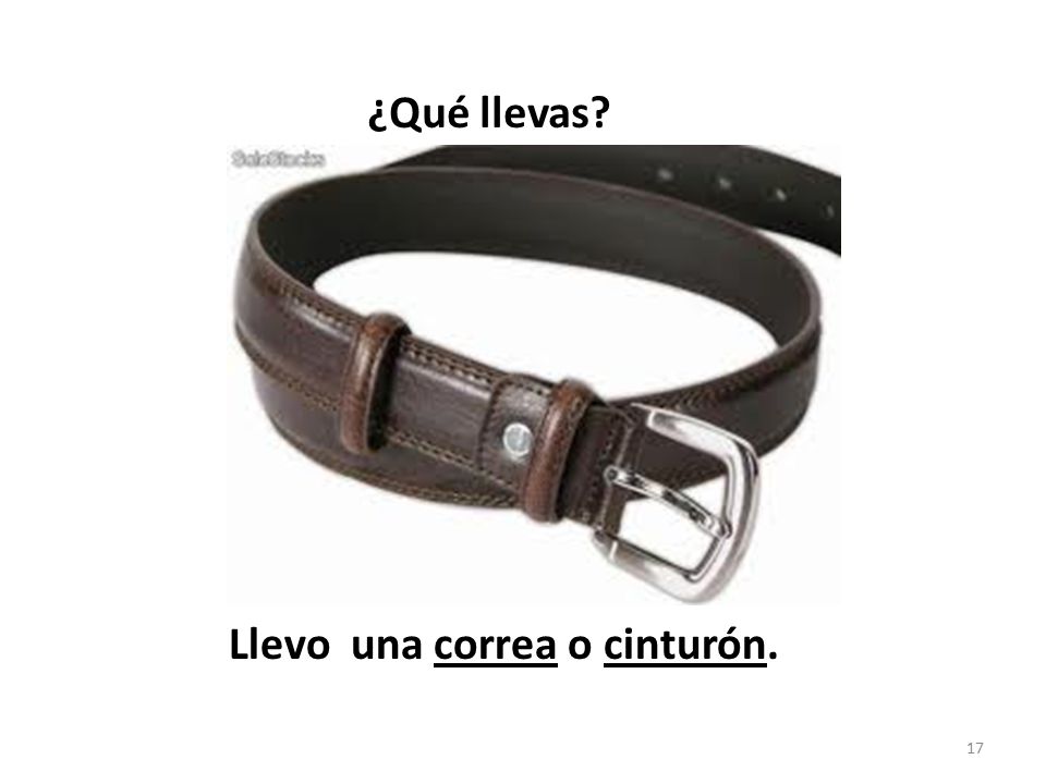 ¿Qué llevas Llevo una correa o cinturón.