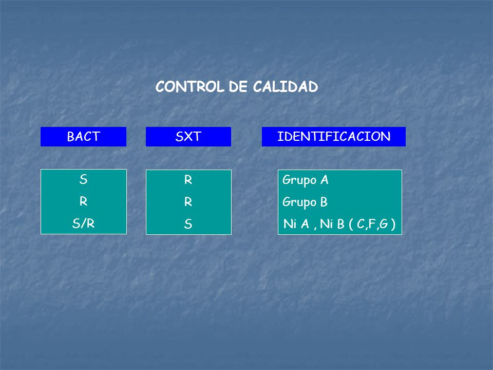 CONTROL DE CALIDAD BACT SXT IDENTIFICACION S R S/R R S Grupo A Grupo B