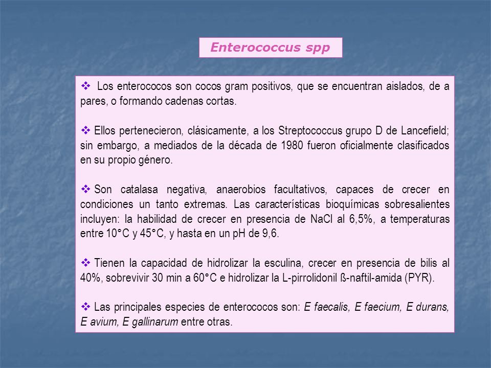 Enterococcus spp Los enterococos son cocos gram positivos, que se encuentran aislados, de a pares, o formando cadenas cortas.