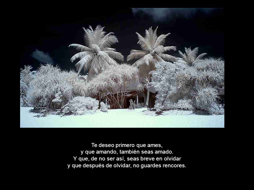 Te deseo primero que ames, y que amando, también seas amado