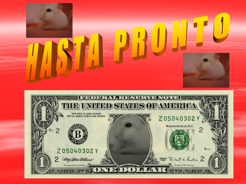 H A S T A P R O N T O