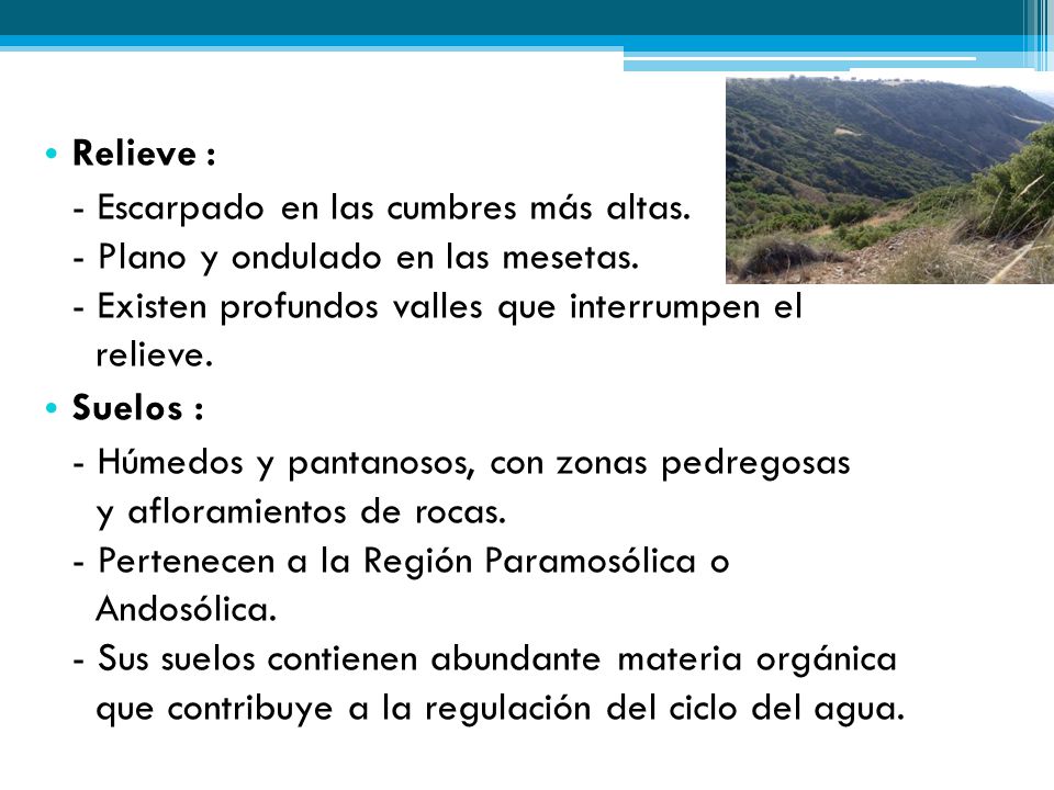 Relieve : - Escarpado en las cumbres más altas. - Plano y ondulado en las mesetas. - Existen profundos valles que interrumpen el relieve.