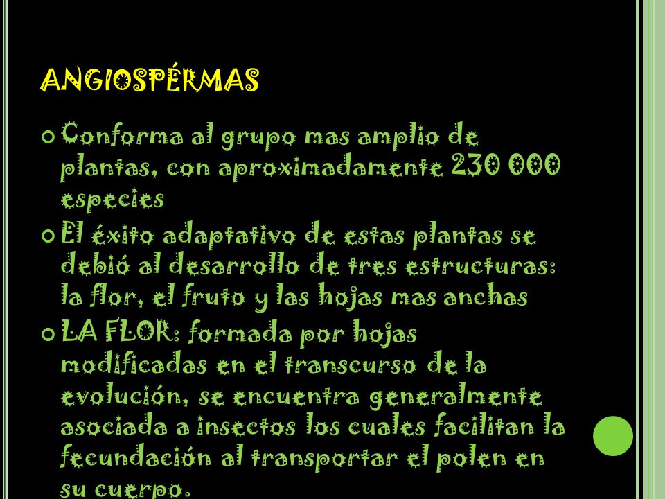 angiospérmas Conforma al grupo mas amplio de plantas, con aproximadamente especies.