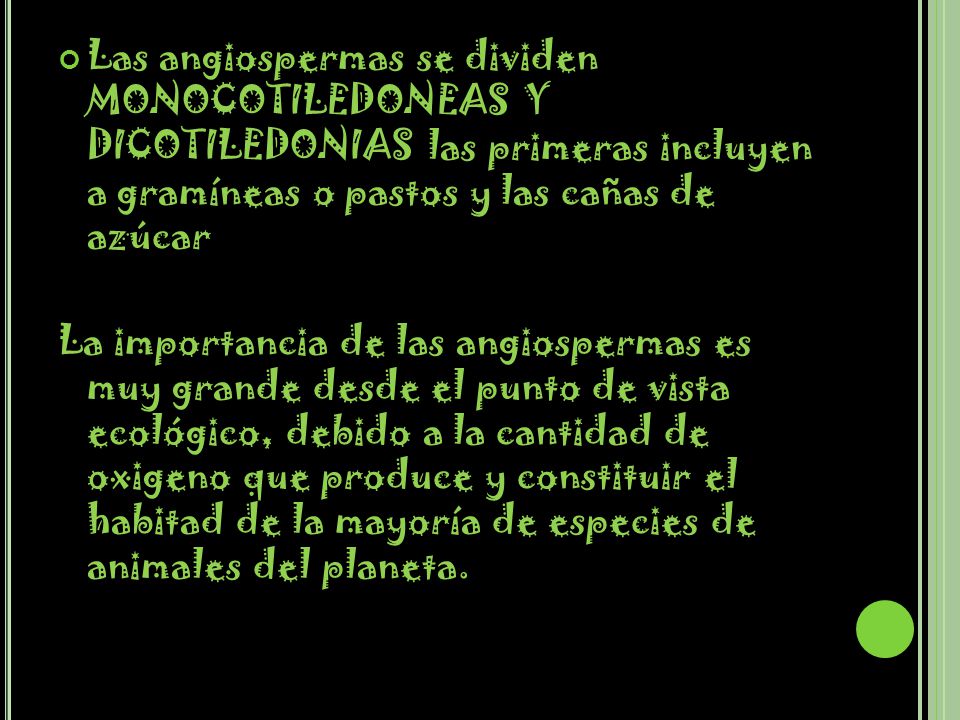 Las angiospermas se dividen MONOCOTILEDONEAS Y DICOTILEDONIAS las primeras incluyen a gramíneas o pastos y las cañas de azúcar