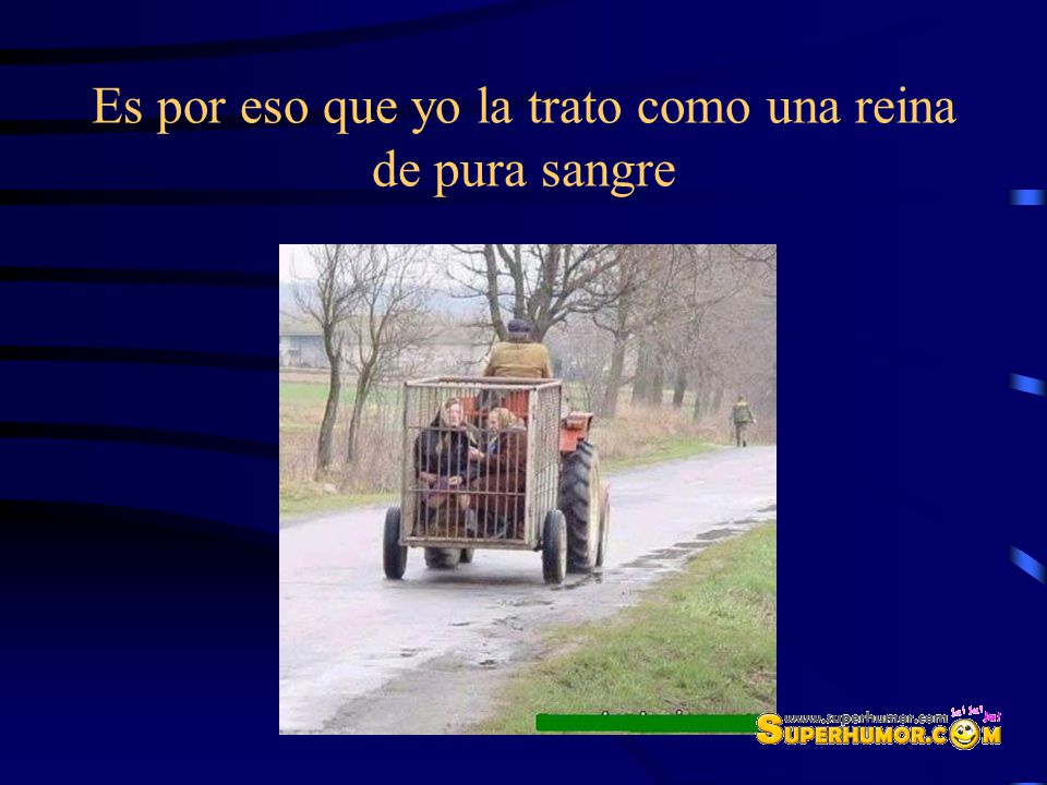 Es por eso que yo la trato como una reina de pura sangre