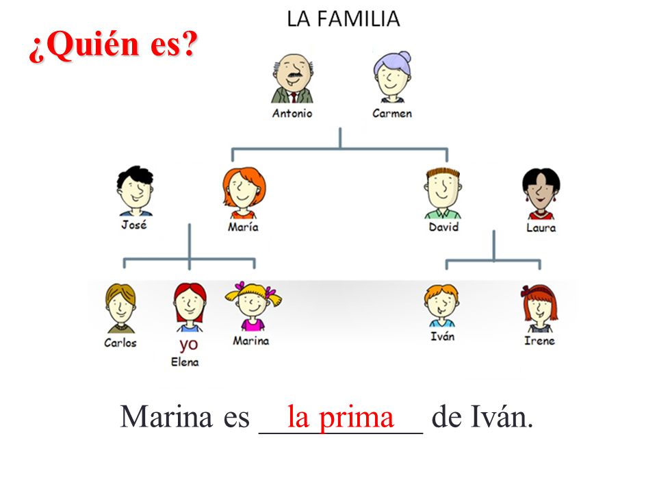 ¿Quién es Marina es __________ de Iván. la prima