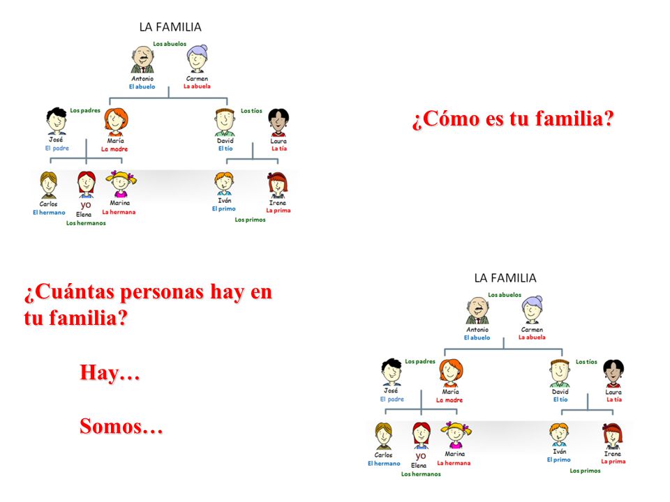 ¿Cómo es tu familia ¿Cuántas personas hay en tu familia Hay… Somos…