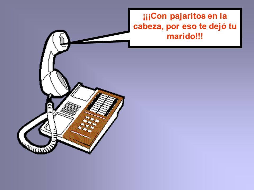 ¡¡¡Con pajaritos en la cabeza, por eso te dejó tu marido!!!