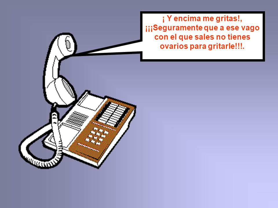 ¡ Y encima me gritas!, ¡¡¡Seguramente que a ese vago con el que sales no tienes ovarios para gritarle!!!.