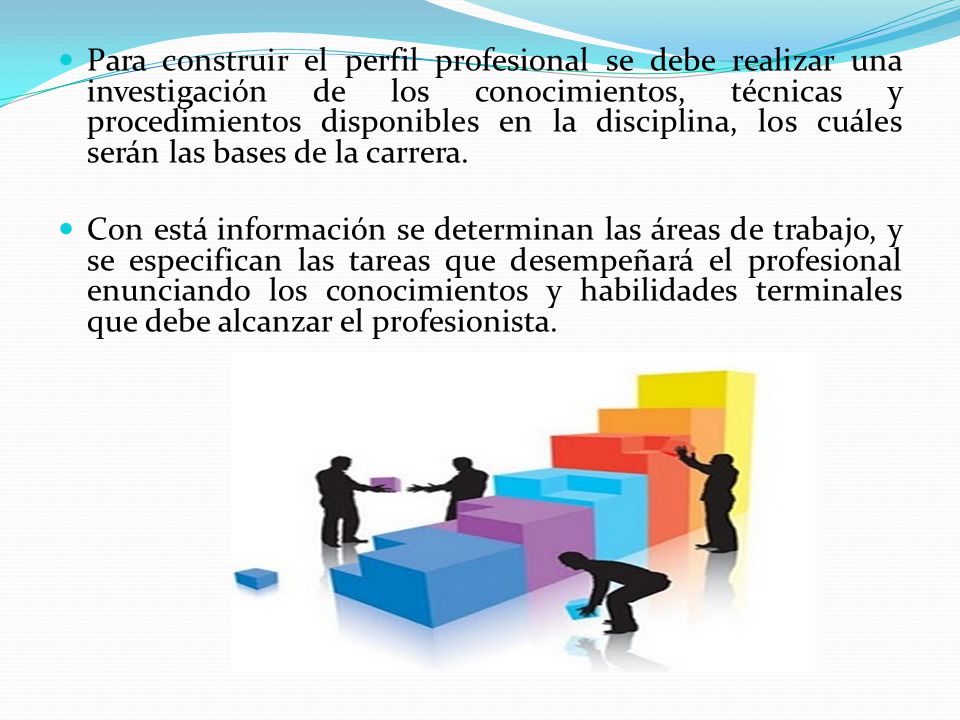 Para construir el perfil profesional se debe realizar una investigación de los conocimientos, técnicas y procedimientos disponibles en la disciplina, los cuáles serán las bases de la carrera.
