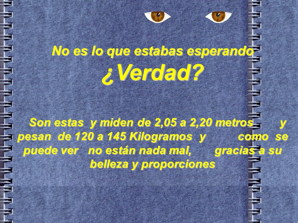 No es lo que estabas esperando