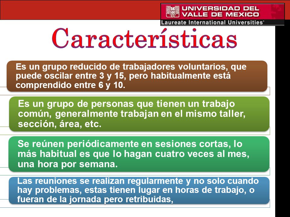 Características Es un grupo reducido de trabajadores voluntarios, que puede oscilar entre 3 y 15, pero habitualmente está comprendido entre 6 y 10.