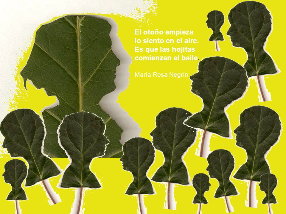 El otoño empieza lo siento en el aire. Es que las hojitas