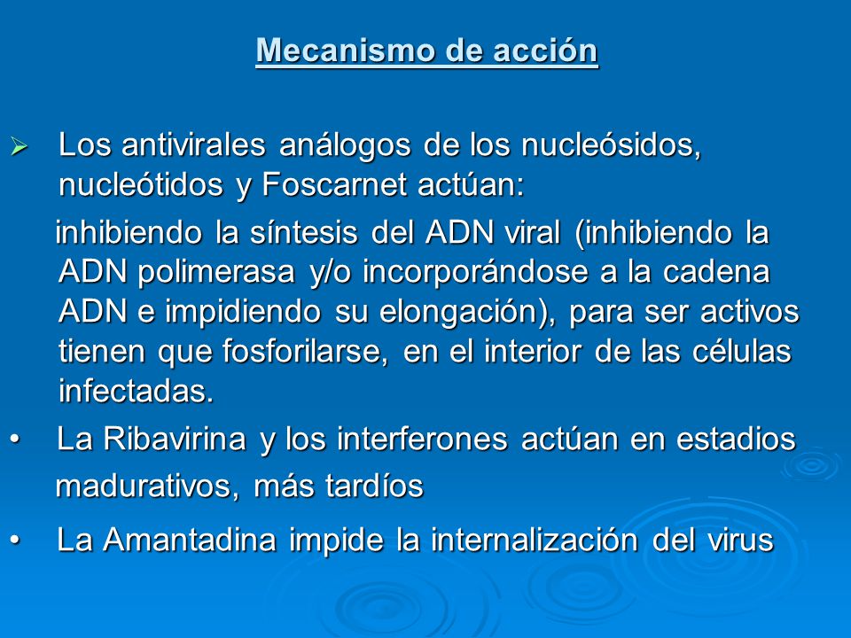Mecanismo de acción Los antivirales análogos de los nucleósidos, nucleótidos y Foscarnet actúan: