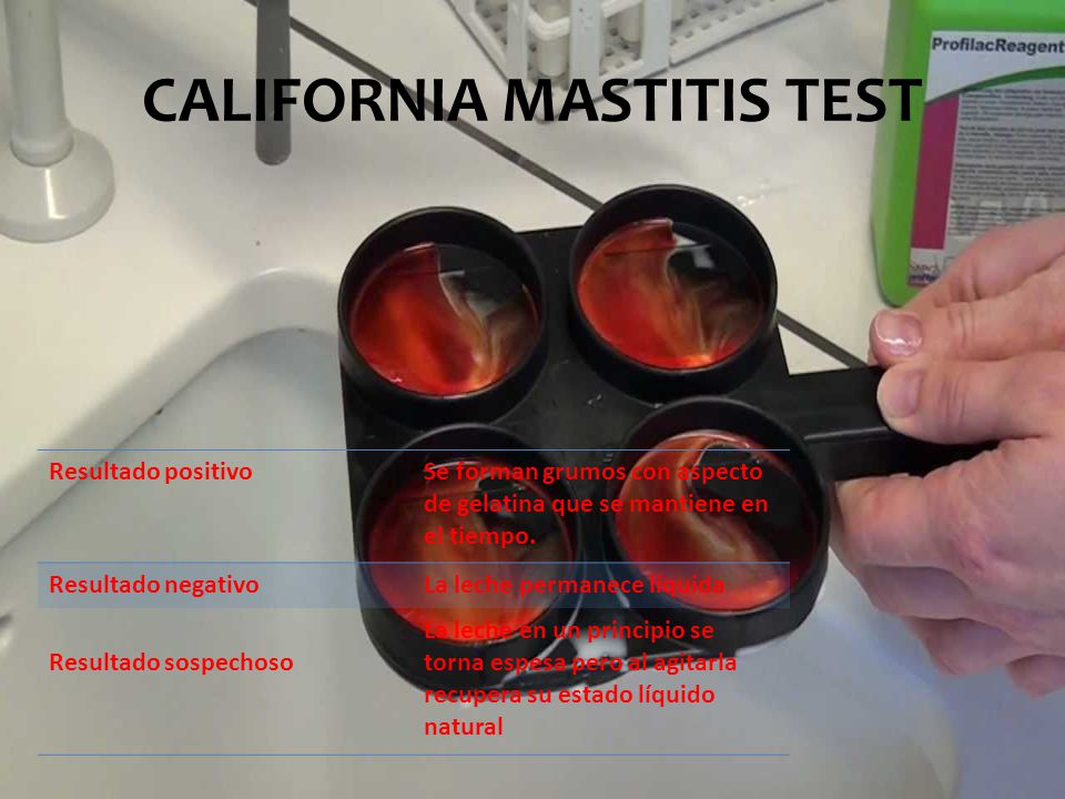 CALIFORNIA MASTITIS TEST