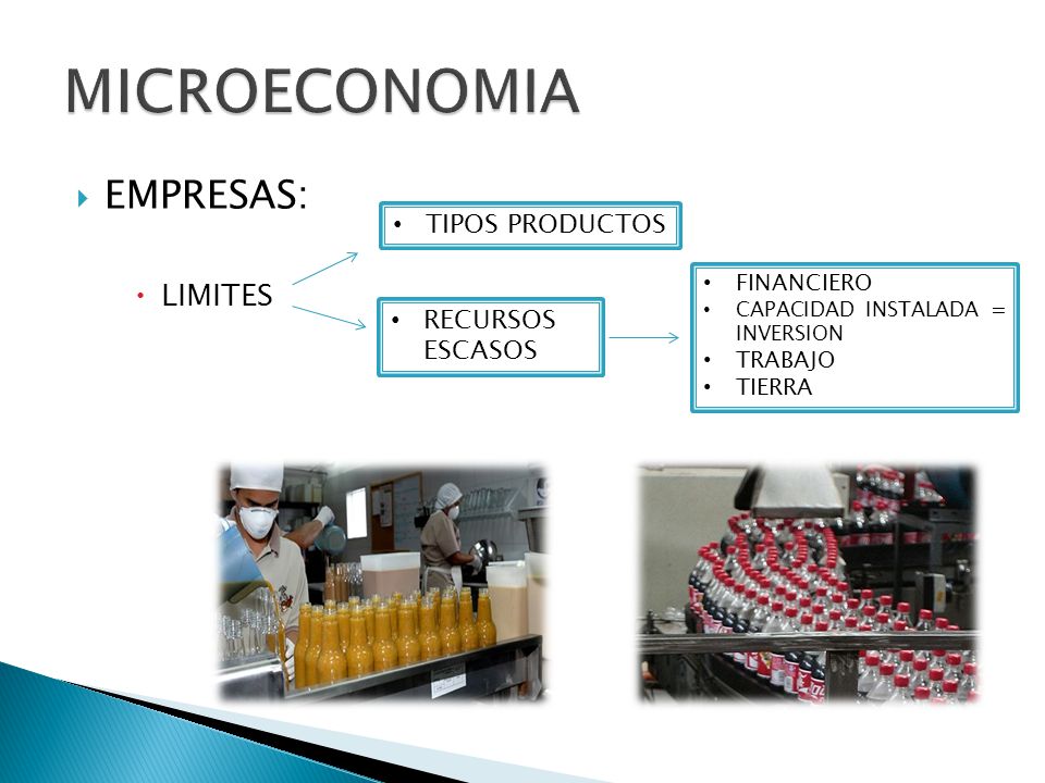 MICROECONOMIA EMPRESAS: LIMITES TIPOS PRODUCTOS RECURSOS ESCASOS