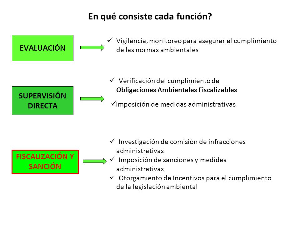 En qué consiste cada función FISCALIZACIÓN Y SANCIÓN