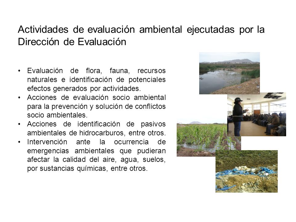 Actividades de evaluación ambiental ejecutadas por la Dirección de Evaluación