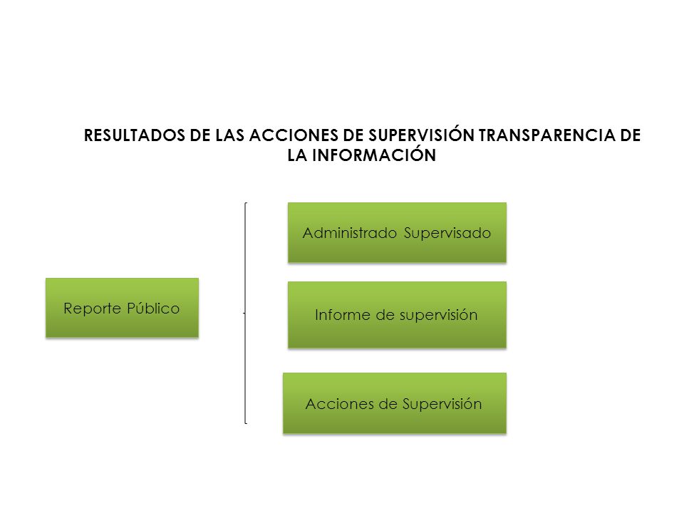 RESULTADOS DE LAS ACCIONES DE SUPERVISIÓN TRANSPARENCIA DE LA INFORMACIÓN