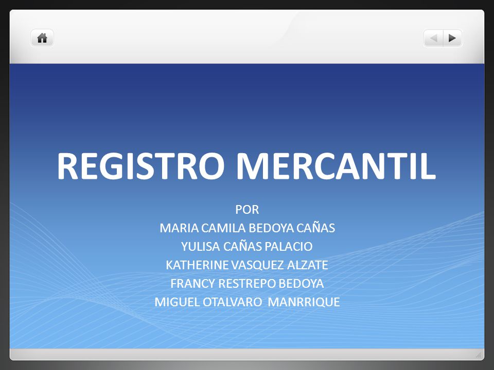REGISTRO MERCANTIL POR MARIA CAMILA BEDOYA CAÑAS YULISA CAÑAS PALACIO
