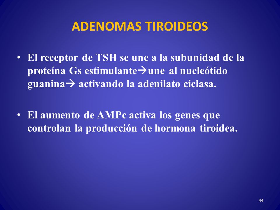 ADENOMAS TIROIDEOS El receptor de TSH se une a la subunidad de la proteína Gs estimulanteune al nucleótido guanina activando la adenilato ciclasa.