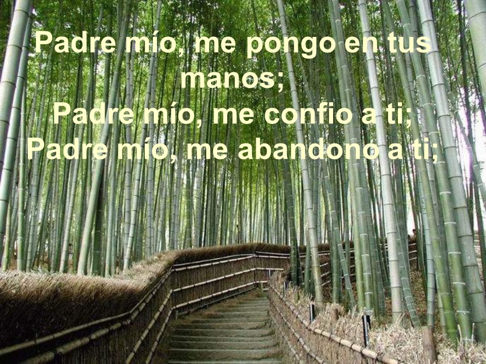 Padre mío, me pongo en tus manos; Padre mío, me confio a ti; Padre mío, me abandono a ti;