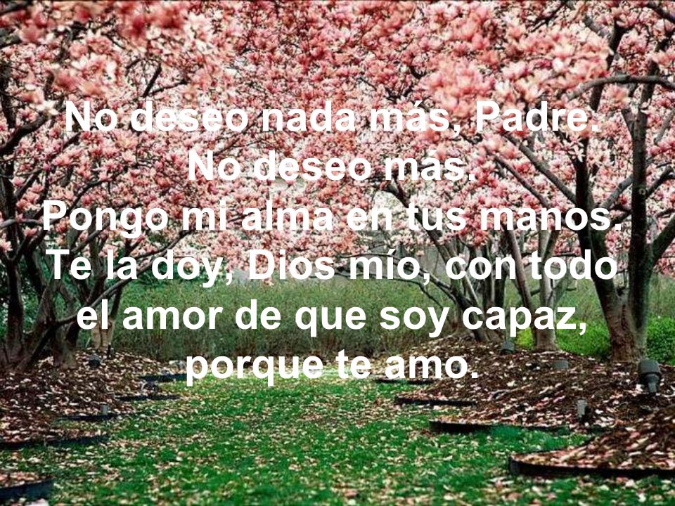 No deseo nada más, Padre. No deseo más. Pongo mi alma en tus manos
