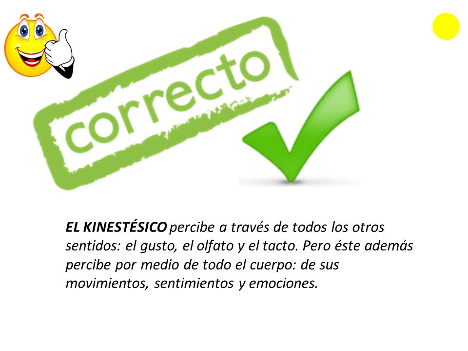 EL KINESTÉSICO percibe a través de todos los otros sentidos: el gusto, el olfato y el tacto.