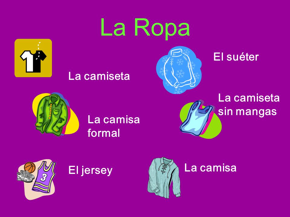 La Ropa El suéter La camiseta La camiseta sin mangas La camisa formal
