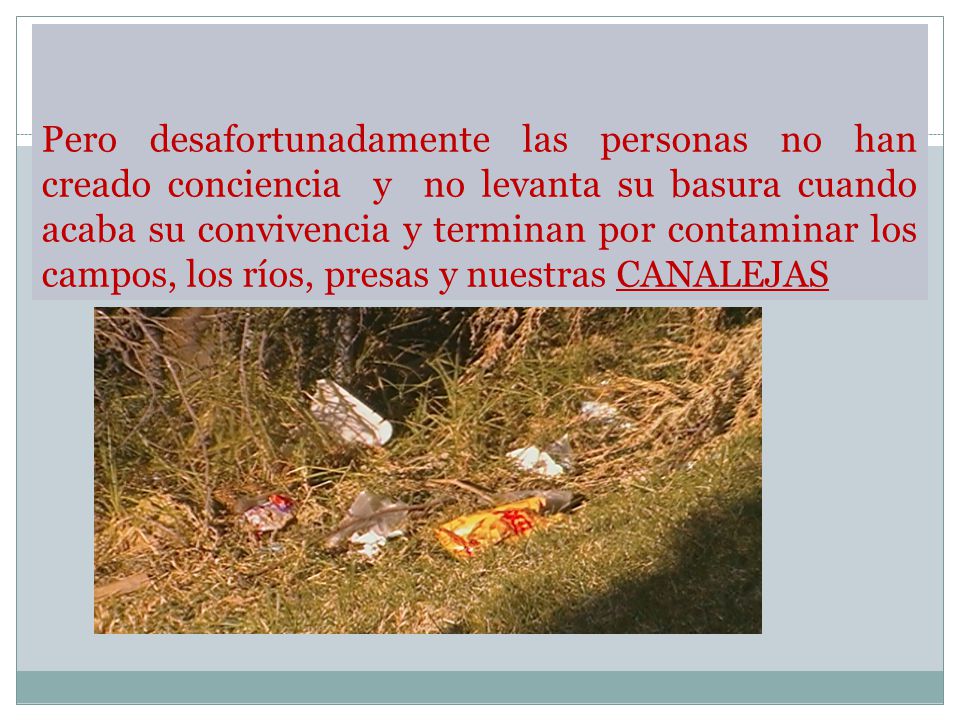 Pero desafortunadamente las personas no han creado conciencia y no levanta su basura cuando acaba su convivencia y terminan por contaminar los campos, los ríos, presas y nuestras CANALEJAS