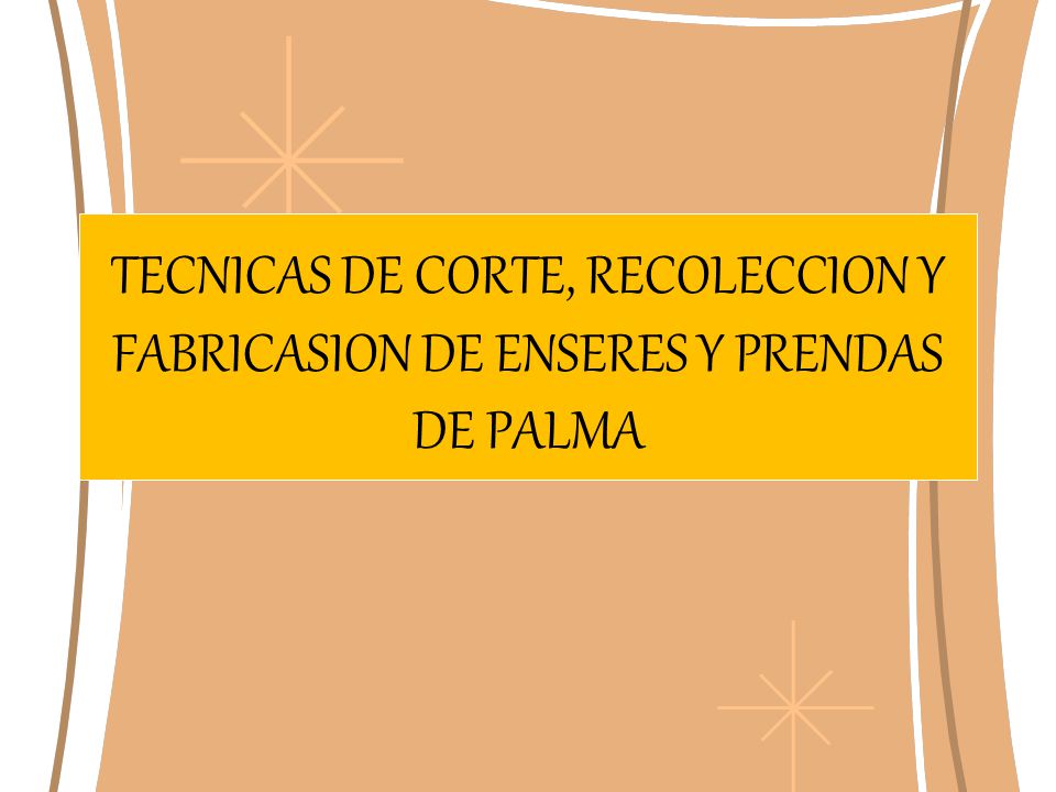 TECNICAS DE CORTE, RECOLECCION Y FABRICASION DE ENSERES Y PRENDAS DE PALMA