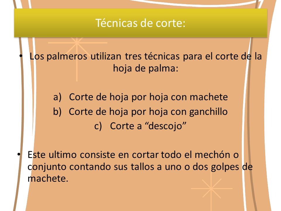 Técnicas de corte: Los palmeros utilizan tres técnicas para el corte de la hoja de palma: Corte de hoja por hoja con machete.
