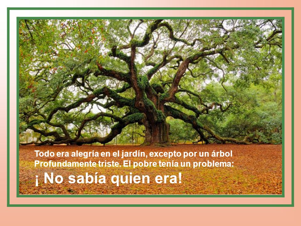 Todo era alegría en el jardín, excepto por un árbol