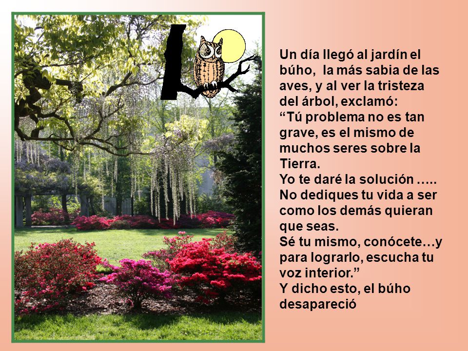 Un día llegó al jardín el búho, la más sabia de las aves, y al ver la tristeza