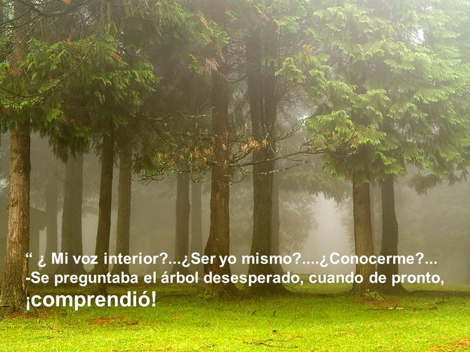 ¿ Mi voz interior ...¿Ser yo mismo ....¿Conocerme ...