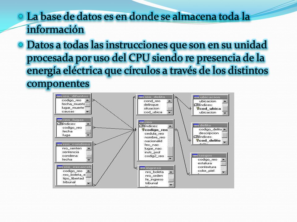 La base de datos es en donde se almacena toda la información
