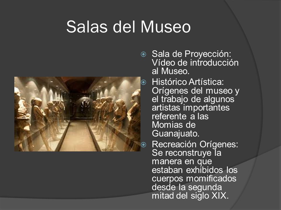Salas del Museo Sala de Proyección: Vídeo de introducción al Museo.