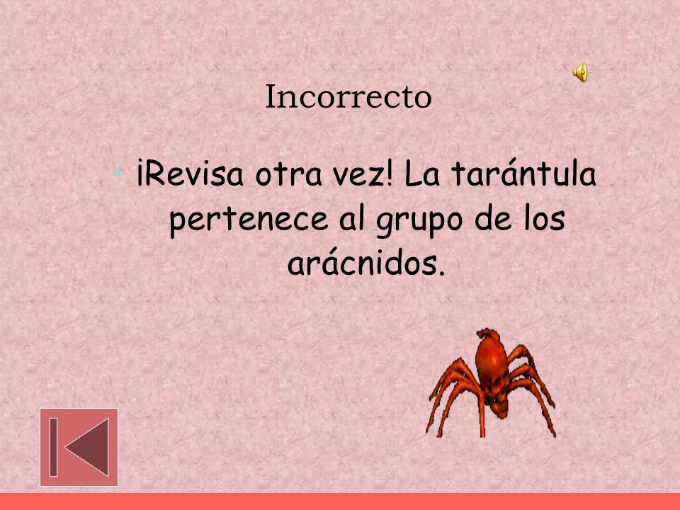¡Revisa otra vez! La tarántula pertenece al grupo de los arácnidos.