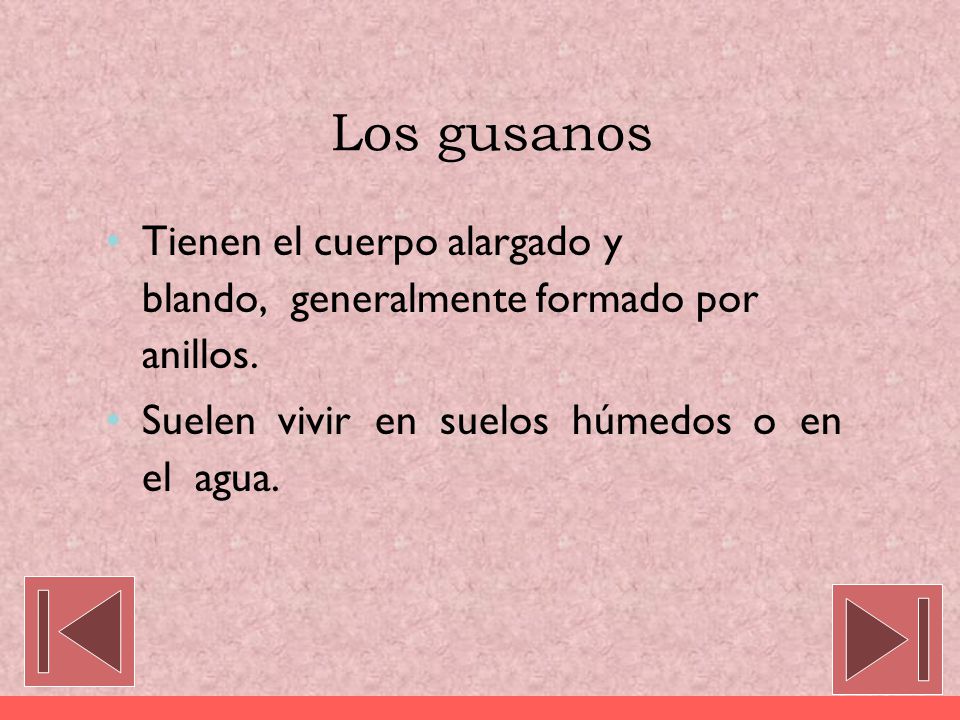 Los gusanos Tienen el cuerpo alargado y blando, generalmente formado por anillos.