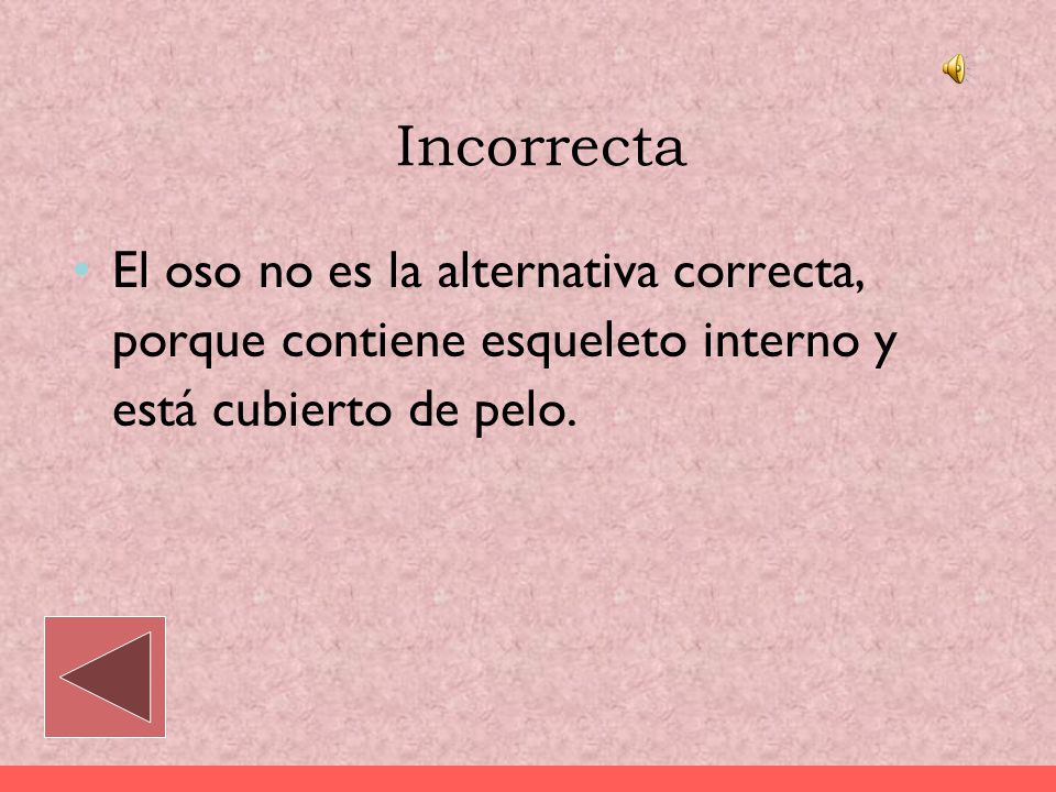 Incorrecta El oso no es la alternativa correcta, porque contiene esqueleto interno y está cubierto de pelo.