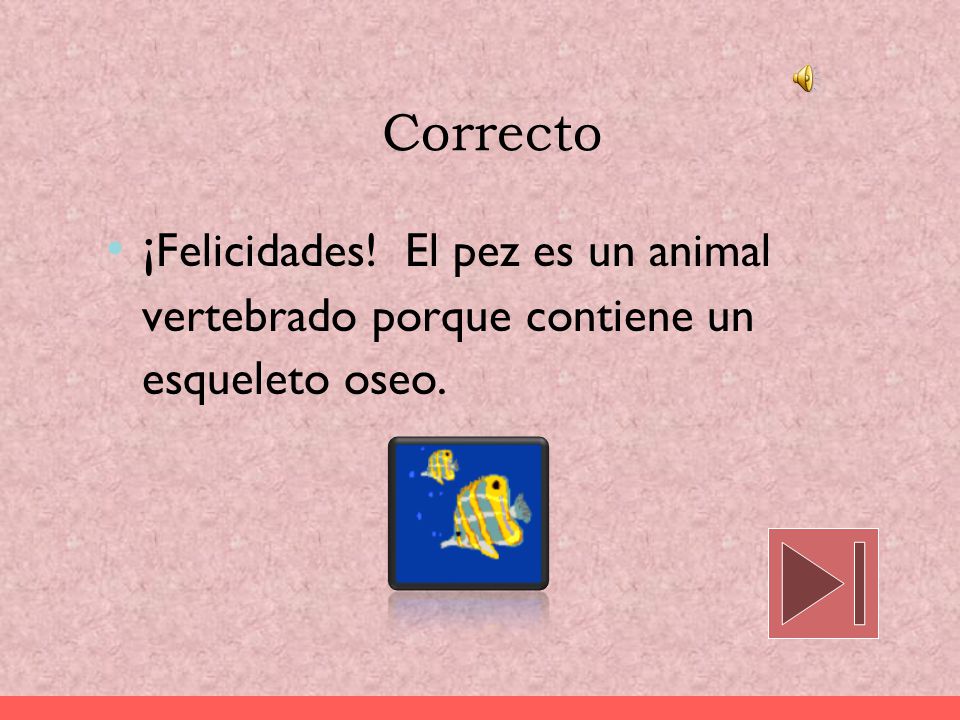 Correcto ¡Felicidades! El pez es un animal vertebrado porque contiene un esqueleto oseo.