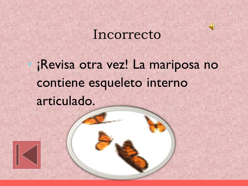 Incorrecto ¡Revisa otra vez! La mariposa no contiene esqueleto interno articulado.