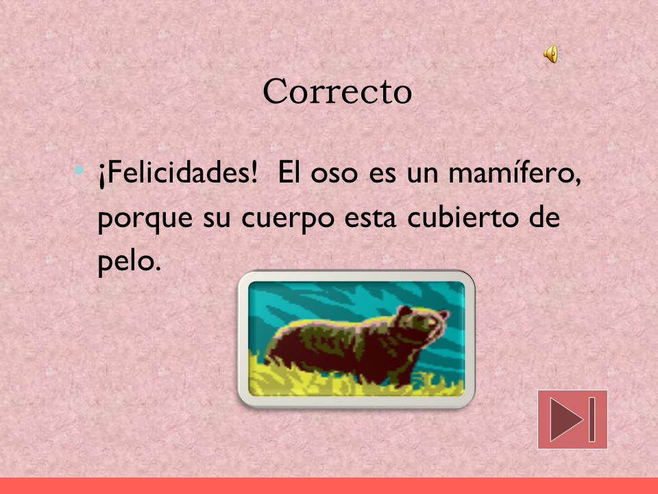Correcto ¡Felicidades! El oso es un mamífero, porque su cuerpo esta cubierto de pelo.