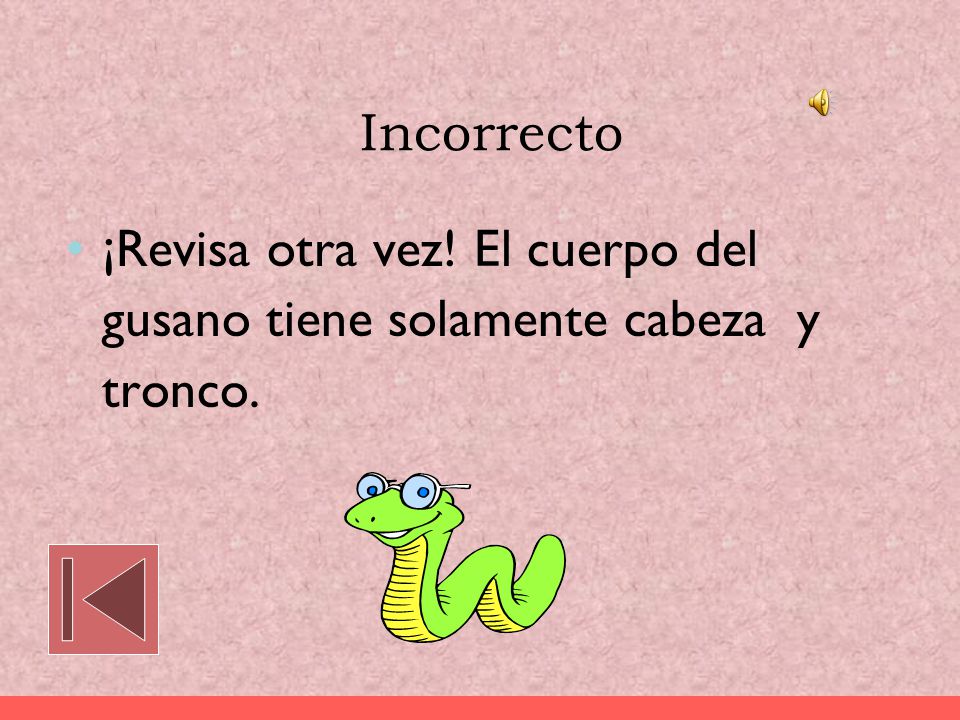 Incorrecto ¡Revisa otra vez! El cuerpo del gusano tiene solamente cabeza y tronco.