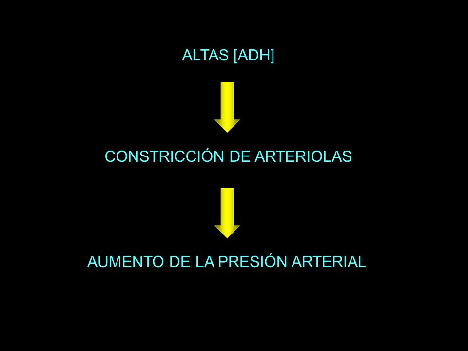 ALTAS [ADH] CONSTRICCIÓN DE ARTERIOLAS AUMENTO DE LA PRESIÓN ARTERIAL