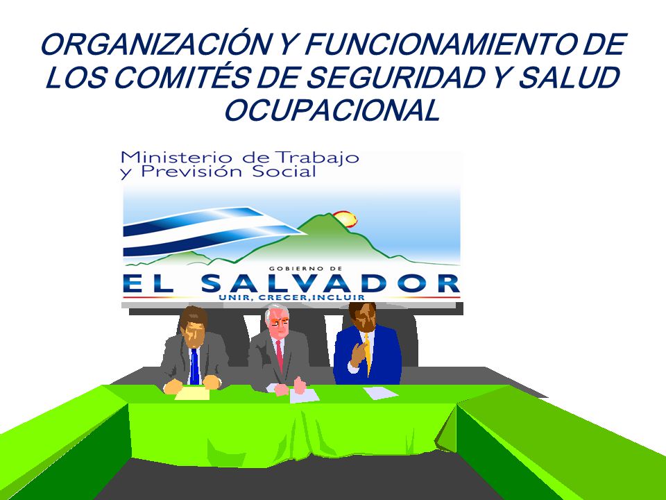ORGANIZACIÓN Y FUNCIONAMIENTO DE LOS COMITÉS DE SEGURIDAD Y SALUD OCUPACIONAL