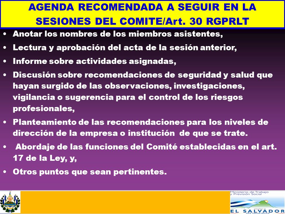 AGENDA RECOMENDADA A SEGUIR EN LA SESIONES DEL COMITE/Art. 30 RGPRLT